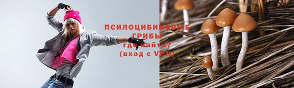 трава Абинск