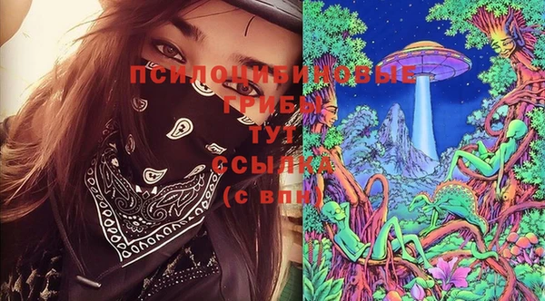 гашик Алзамай
