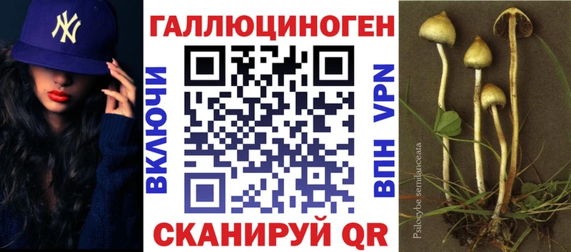 Псилоцибиновые грибы мицелий  Красновишерск 